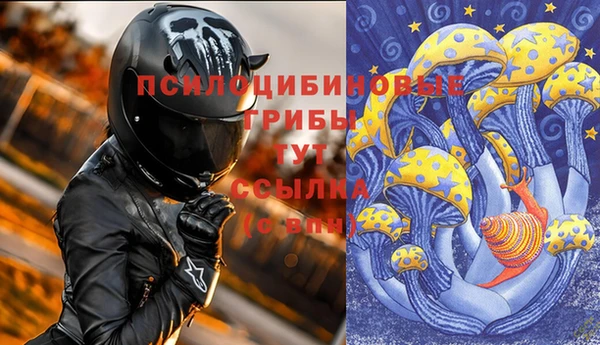 не бодяженный Ладушкин